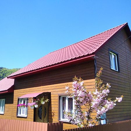 Відпочинок У Карпатах, Мінеральні Ванни, Банний Чан! Casa de hóspedes Verkhnyaya Bystra Exterior foto