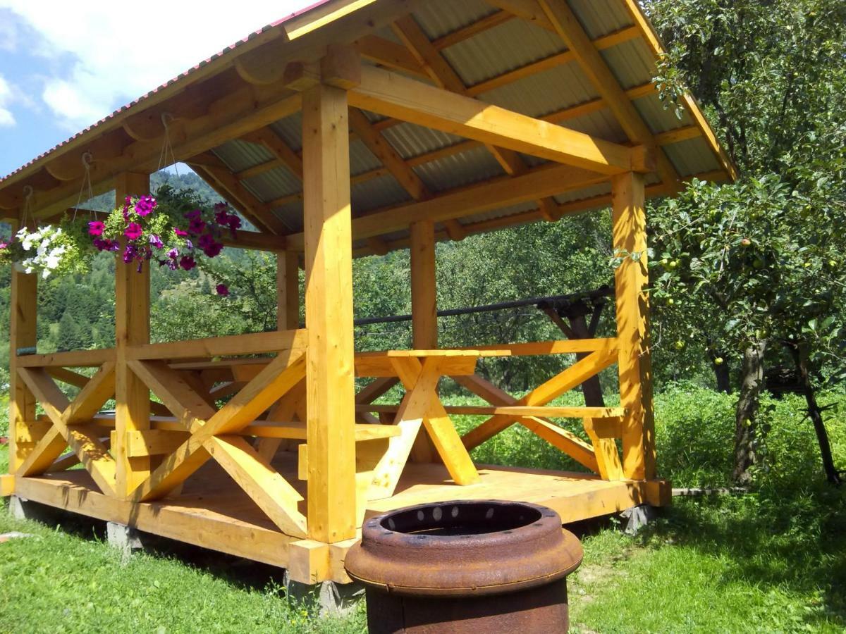 Відпочинок У Карпатах, Мінеральні Ванни, Банний Чан! Casa de hóspedes Verkhnyaya Bystra Exterior foto