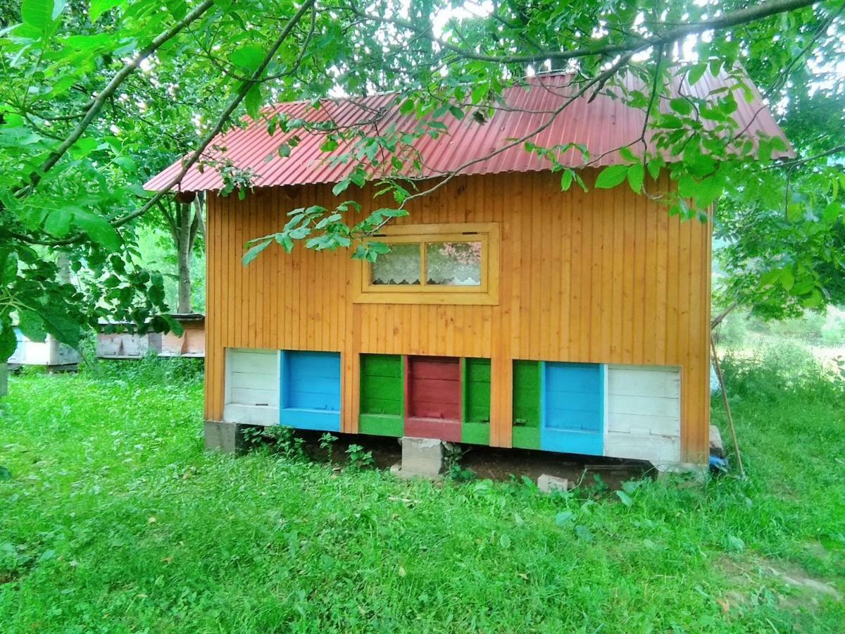 Відпочинок У Карпатах, Мінеральні Ванни, Банний Чан! Casa de hóspedes Verkhnyaya Bystra Exterior foto